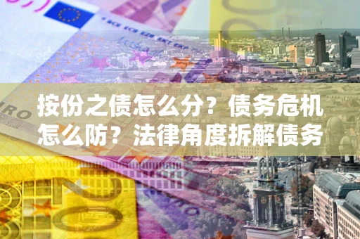 北京按份之债怎么分？债务危机怎么防？法律角度拆解债务分配与风险自保指南