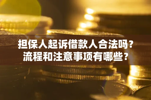 北京担保人起诉借款人合法吗？流程和注意事项有哪些？