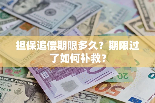 北京担保追偿期限多久？期限过了如何补救？
