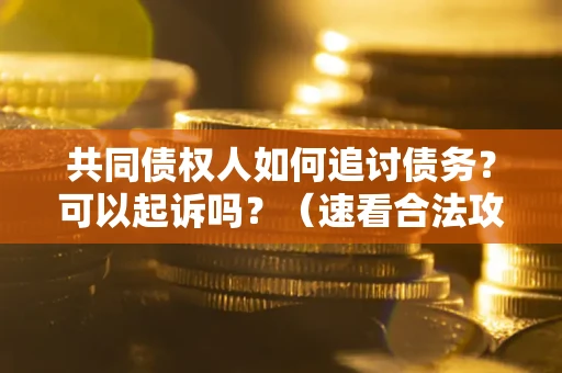 北京共同债权人如何追讨债务？可以起诉吗？（速看合法攻略）